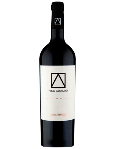 Pico Cuadro Vendimia Seleccionada 2018