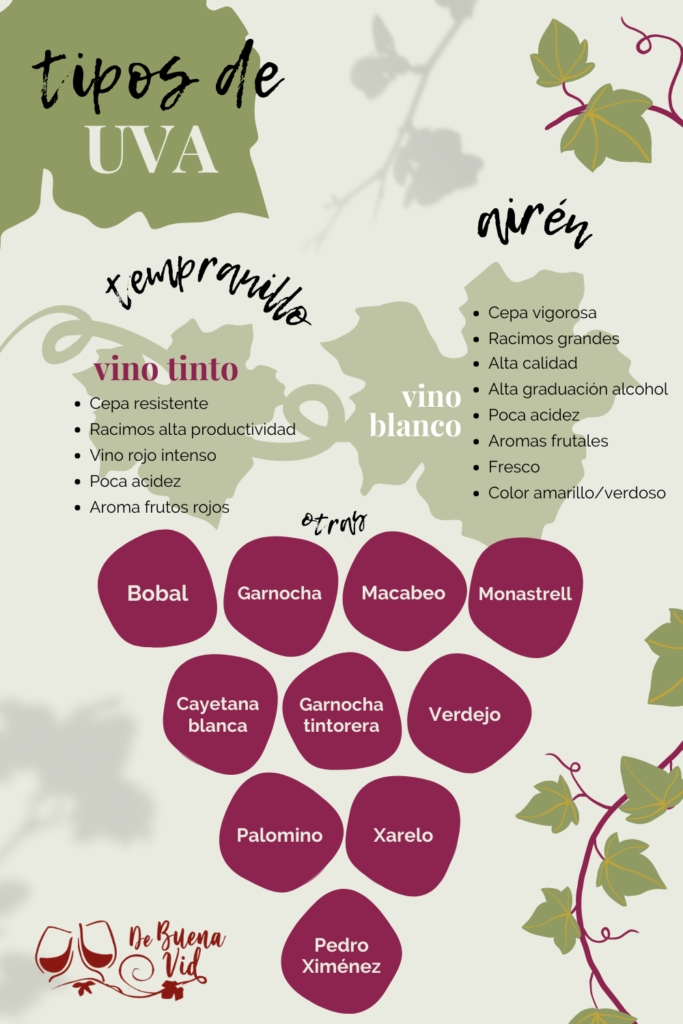 Tipos de uva en España