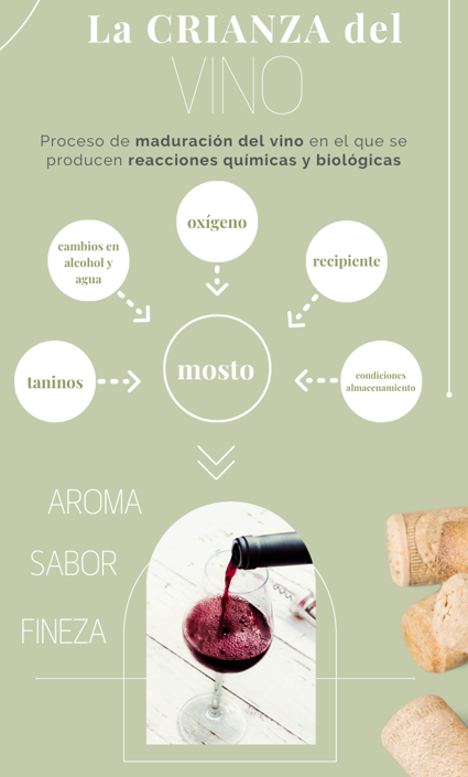 la crianza del vino