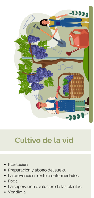 labores del viticultor